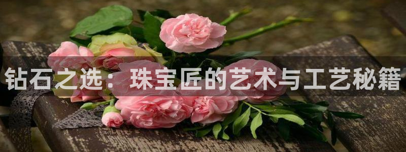 新宝5测速线路