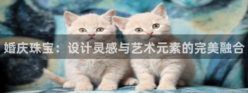 新宝5电脑登录网址