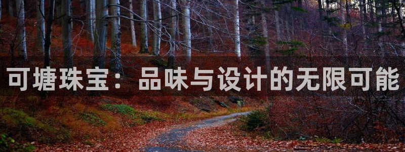 新宝5官网