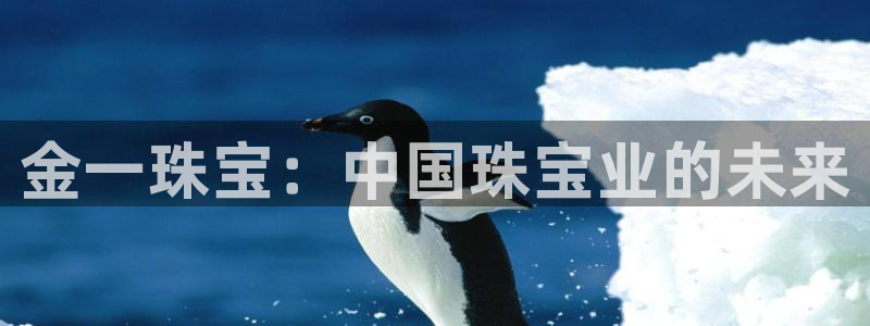 新宝5平台注册：金一珠宝：中国珠宝业的未来
