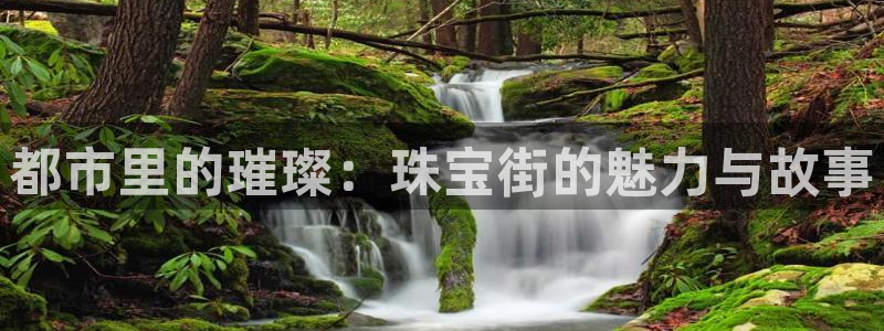 新宝5注册：都市里的璀璨：珠宝街的魅力与故事