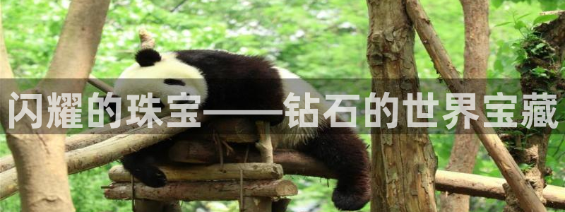 新宝5娱乐手机登录：闪耀的珠宝——钻石的世界宝藏