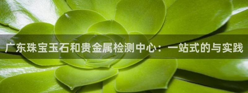 新宝5代理注册：广东珠宝玉石和贵金属检测中心：一站式的与实践