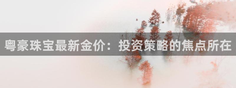 新宝5平台注册公司：粤豪珠宝最新金价：投资策略的焦点所在