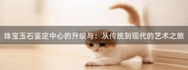 菲律宾新宝5老板：珠宝玉石鉴定中心的升级与：从传统到现代的艺术之旅