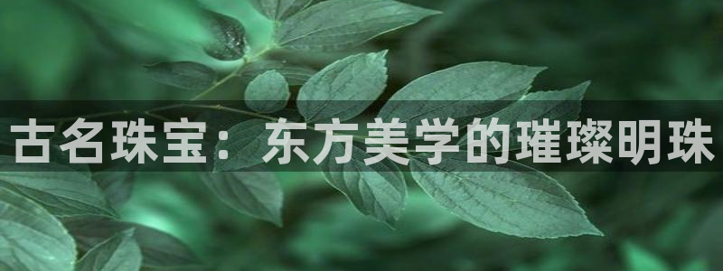 新宝xb5：古名珠宝：东方美学的璀璨明珠