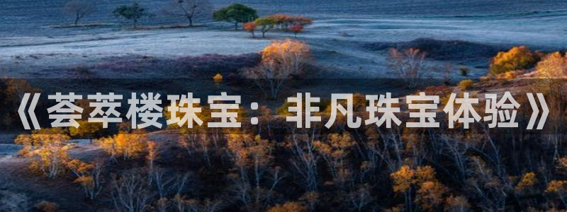 新宝5娱乐登录：《荟萃楼珠宝：非凡珠宝体验》