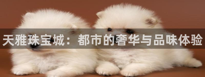 新宝5登陆：天雅珠宝城：都市的奢华与品味体验