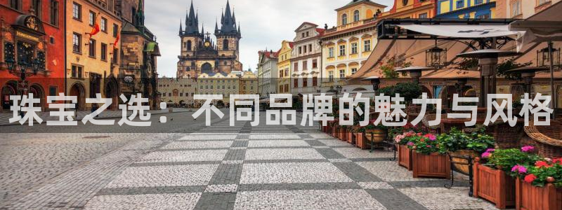 新宝那2O5O5O：珠宝之选：不同品牌的魅力与风格