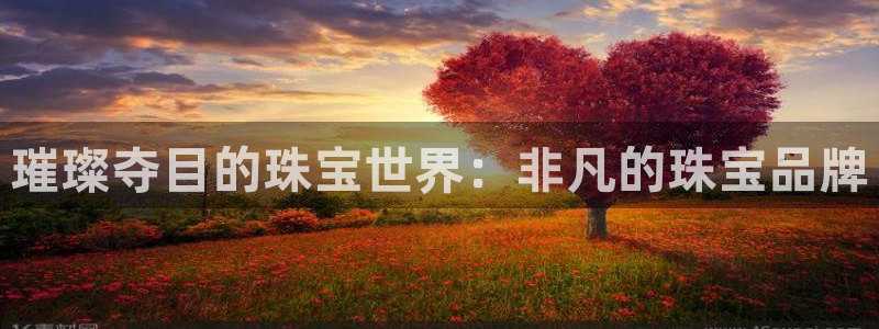 新宝堂新会陈皮5年：璀璨夺目的珠宝世界：非凡的珠宝品牌