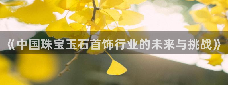 新宝5测速：《中国珠宝玉石首饰行业的未来与挑战》