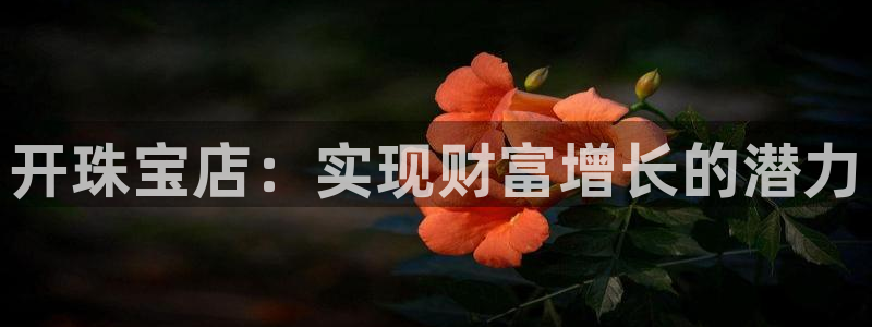 新宝5登录测速中心：开珠宝店：实现财富增长的潜力