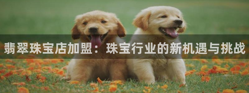 新宝5娱乐然：翡翠珠宝店加盟：珠宝行业的新机遇与挑战