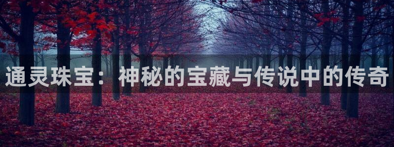 菲律宾新宝5老板