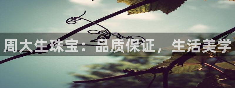 新宝5是谁：周大生珠宝：品质保证，生活美学