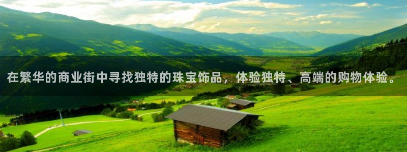 新宝5电脑登录网址：在繁华的商业街中寻找独特的珠宝饰品，体验独特、高端的购物体验