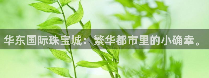 新宝5测速：华东国际珠宝城：繁华都市里的小确幸。