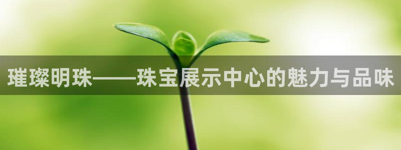 新宝5后：璀璨明珠——珠宝展示中心的魅力与品味