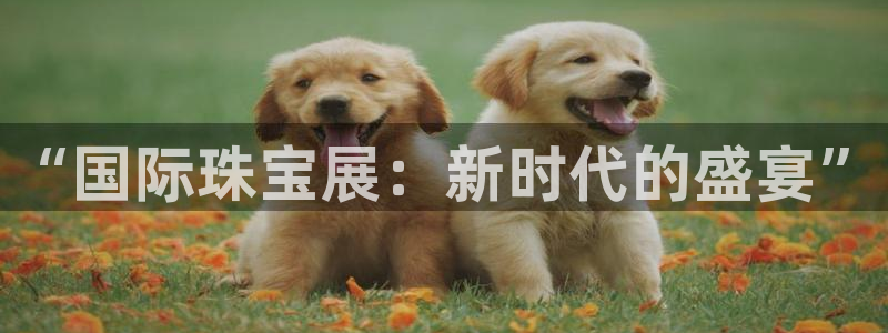新宝5平台注册资金：“国际珠宝展：新时代的盛宴”