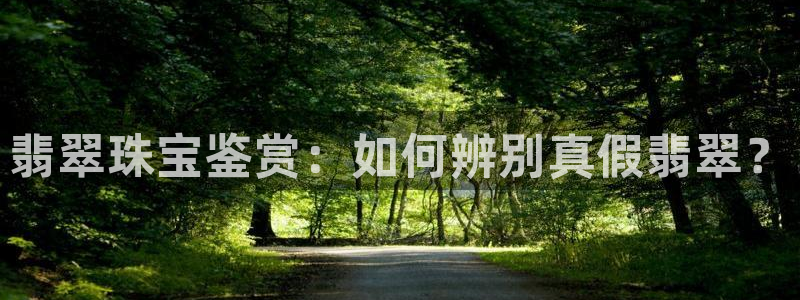 新宝5官网：翡翠珠宝鉴赏：如何辨别真假翡翠？