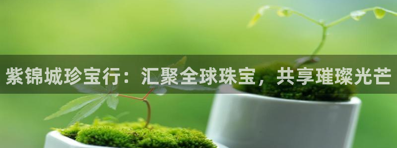 新宝5软件下载：紫锦城珍宝行：汇聚全球珠宝，共享璀璨光芒