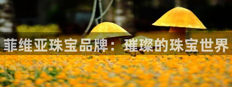 新宝5网站：菲维亚珠宝品牌：璀璨的珠宝世界