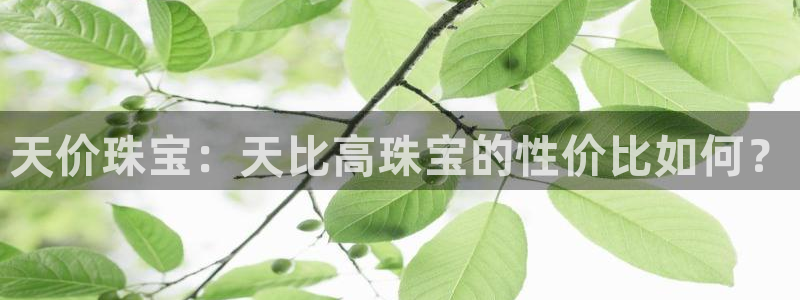 新宝xb5：天价珠宝：天比高珠宝的性价比如何？