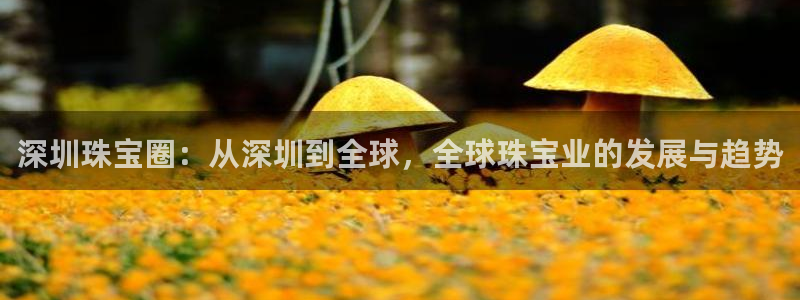 新宝5登录测速中心：深圳珠宝圈：从深圳到全球，全球珠宝业的发展与趋势