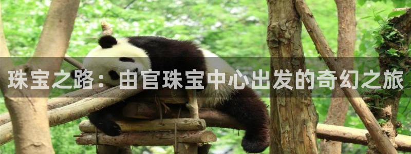 新宝5日：珠宝之路：由官珠宝中心出发的奇幻之旅