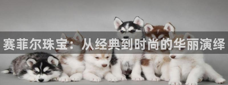 新宝5-：赛菲尔珠宝：从经典到时尚的华丽演绎