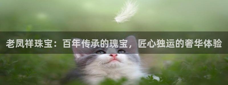 新宝5招商部：老凤祥珠宝：百年传承的瑰宝，匠心独运的奢华体验