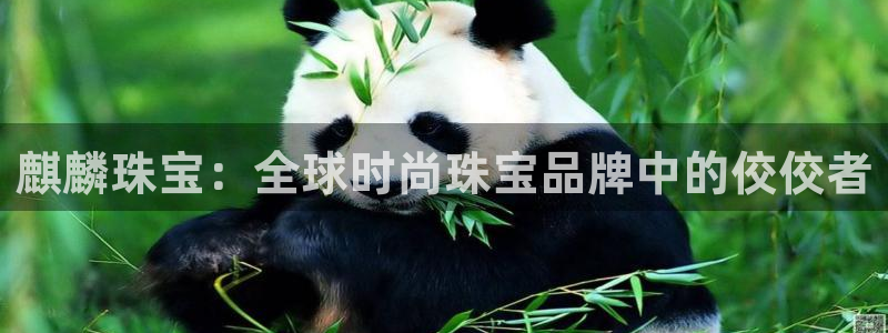 新宝5测速在线：麒麟珠宝：全球时尚珠宝品牌中的佼佼者