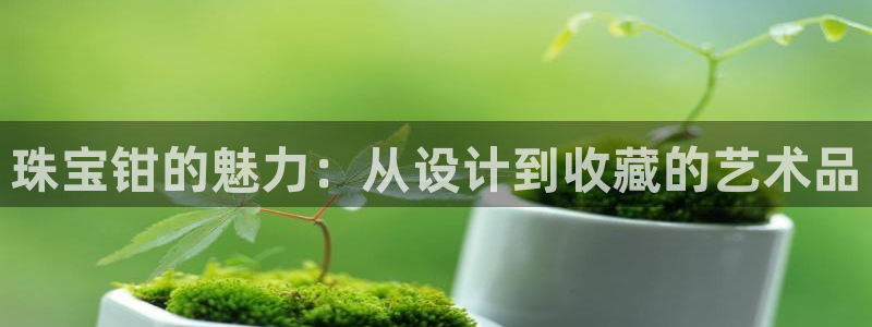 新宝5手机平台登陆：珠宝钳的魅力：从设计到收藏的艺术品