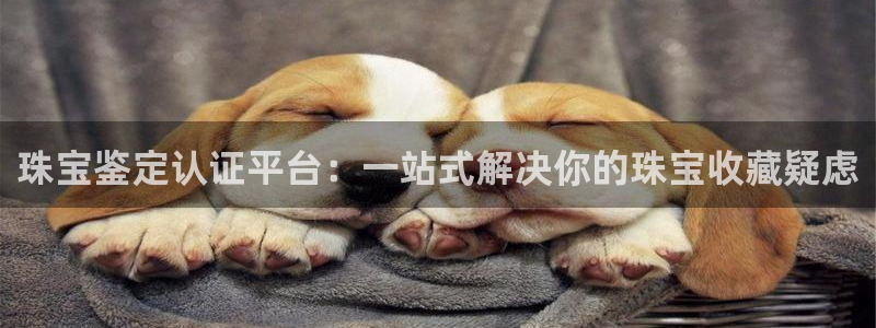 新宝5注册：珠宝鉴定认证平台：一站式解决你的珠宝收藏疑虑