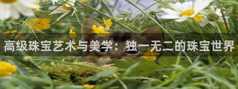 新宝5彩票娱乐平台：高级珠宝艺术与美学：独一无二的珠宝世界