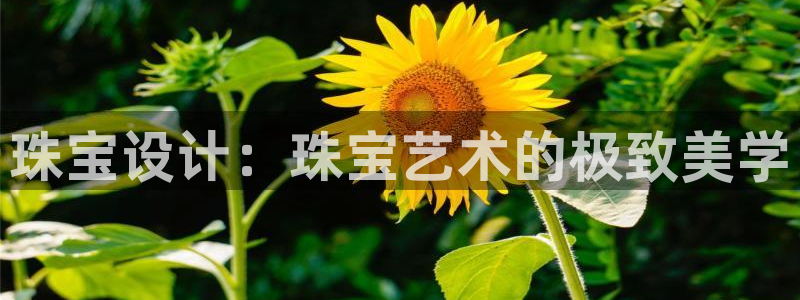 新宝3得74OO5：珠宝设计：珠宝艺术的极致美学