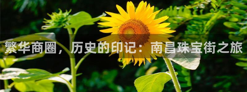 新宝b2O5O5O：繁华商圈，历史的印记：南昌珠宝街之旅