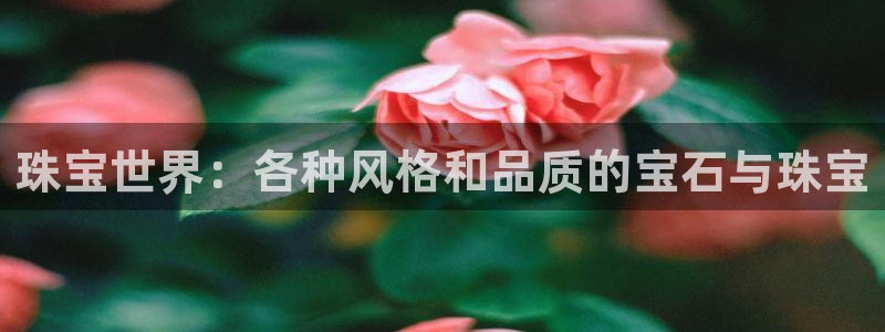 新宝5 - 测速登陆：珠宝世界：各种风格和品质的宝石与珠宝