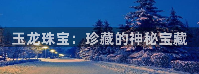 新宝5口67五壹叁八：玉龙珠宝：珍藏的神秘宝藏