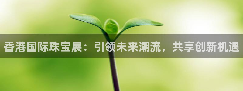 新宝5培训：香港国际珠宝展：引领未来潮流，共享创新机遇