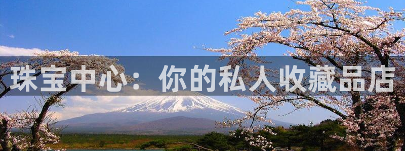 新宝5口67五壹叁八：珠宝中心：你的私人收藏品店