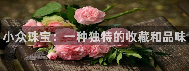 新宝5内部：小众珠宝：一种独特的收藏和品味