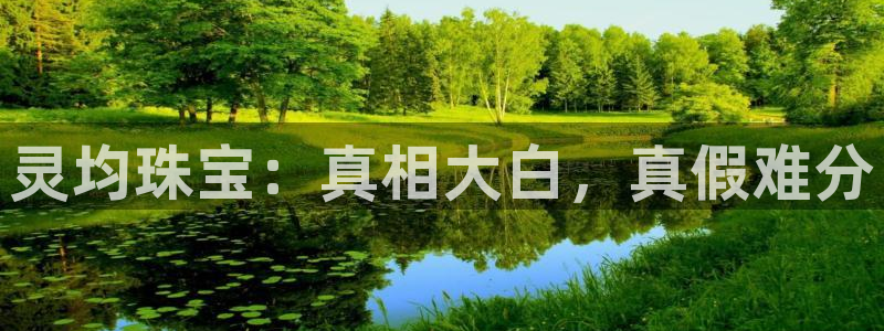 新宝股东瞧听2 5 5：灵均珠宝：真相大白，真假难分