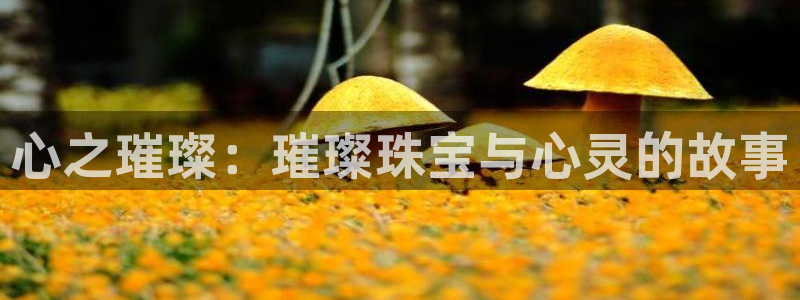 新宝5注册链接：心之璀璨：璀璨珠宝与心灵的故事