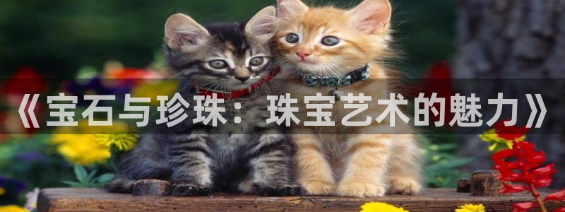 新宝5登录测速中心：《宝石与珍珠：珠宝艺术的魅力》