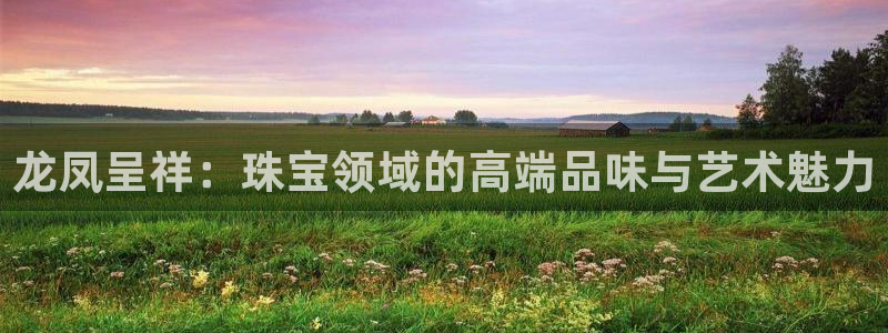 新宝5挂机软件：龙凤呈祥：珠宝领域的高端品味与艺术魅力