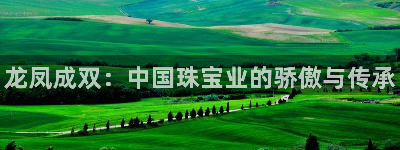 新宝5官网67五壹叁八：龙凤成双：中国珠宝业的骄傲与传承