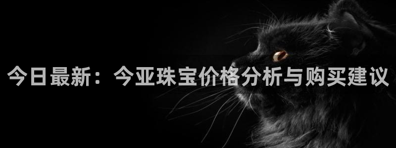 新宝5 888：今日最新：今亚珠宝价格分析与购买建议