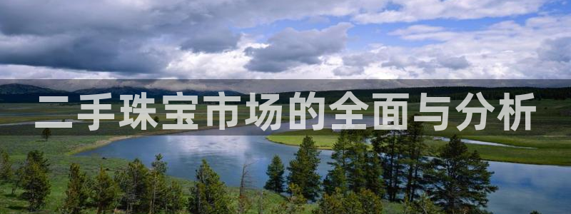 新宝5电脑：二手珠宝市场的全面与分析