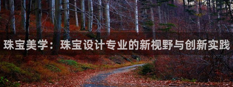 新宝5口67五壹叁八：珠宝美学：珠宝设计专业的新视野与创新实践